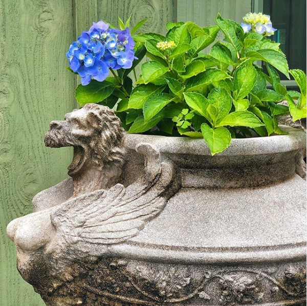 Venetian Lion Urn Vintage #longshadowplanters #longshadowvintage #gardendesign