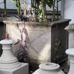 Allen Planter Box 30 vintage #longshadowplanters #longshadowvintage #gardendesign